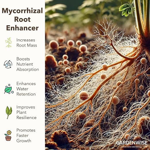 Organic Liquid Plant Food for Indoor Houseplants – All Purpose Fertilizer for - Image 7