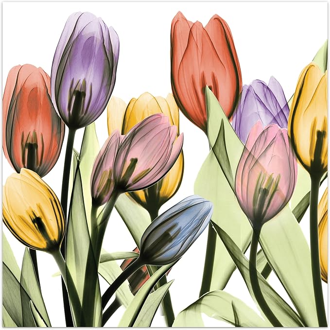Empire Art Direct Frameless Free Floating Tempered Glass Panel Graphic Wall Art by EmpireArtDirect