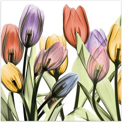 Empire Art Direct Frameless Free Floating Tempered Glass Panel Graphic Wall Art by EmpireArtDirect