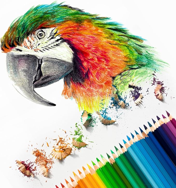 PATIKIL Watercolor Pencil, Sketch Drawing - Image 5