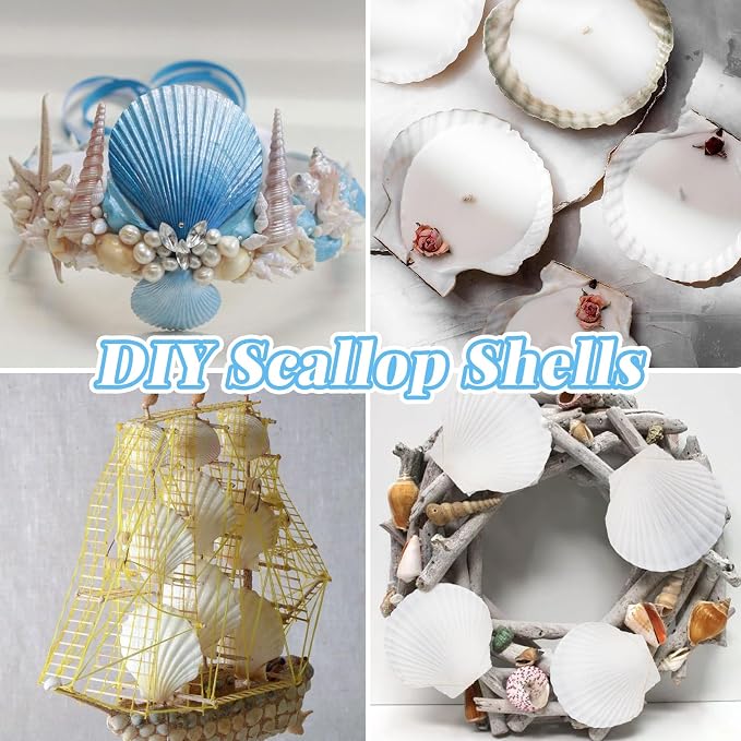 LUCKY BABY 16pcs Scallop Shells White Natural Sea Shells - Image 5