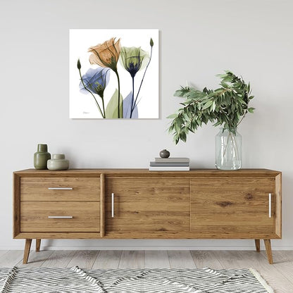 Empire Art Direct Frameless Free Floating Tempered Glass Panel Graphic Wall Art by EmpireArtDirect