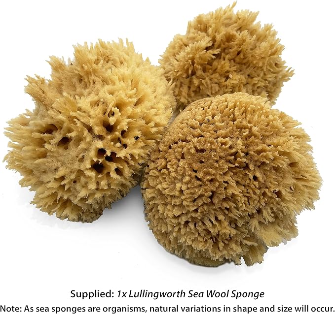 Natural Sea Wool Art Sponge: Premium Professional Grade 5"-6" Unbleached - Image 2