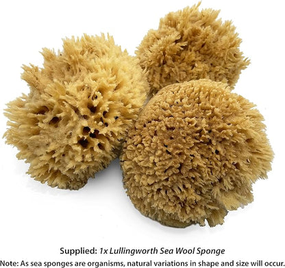 Natural Sea Wool Art Sponge: Premium Professional Grade 5"-6" Unbleached - Image 2