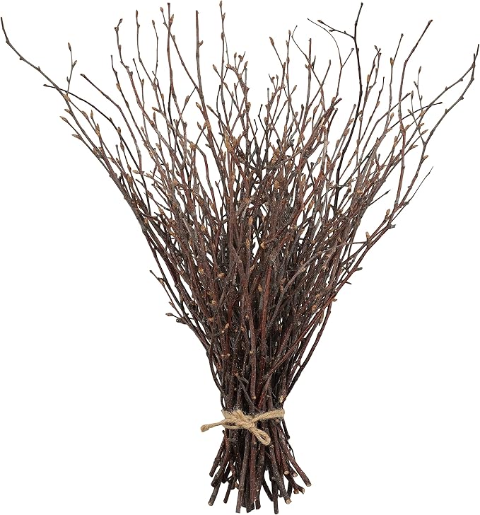Uieke 50PCS Birch Twigs – 17 Inch Natural Dried Plants Decorative Birch Branches by Uieke