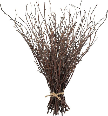 Uieke 50PCS Birch Twigs – 17 Inch Natural Dried Plants Decorative Birch Branches by Uieke