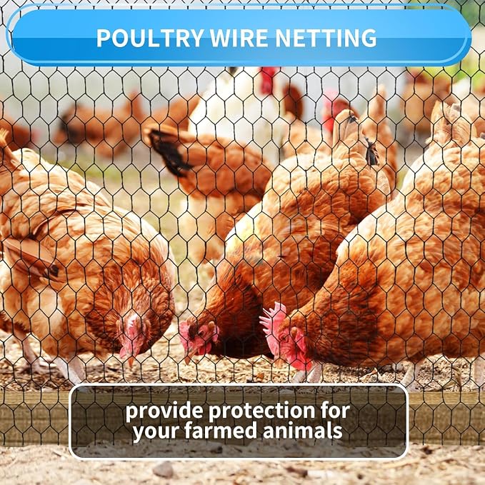 24'' x 50' Black Chicken Wire Fencing, 1 inch Chicken Wire and 20 Gauge Poultry - Image 7