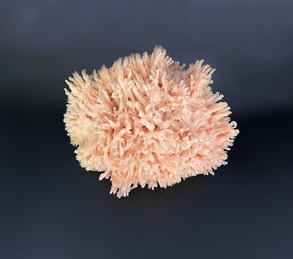 Natural Sea Wool Art Sponge: Premium Professional Grade 5"-6" Unbleached - Image 7