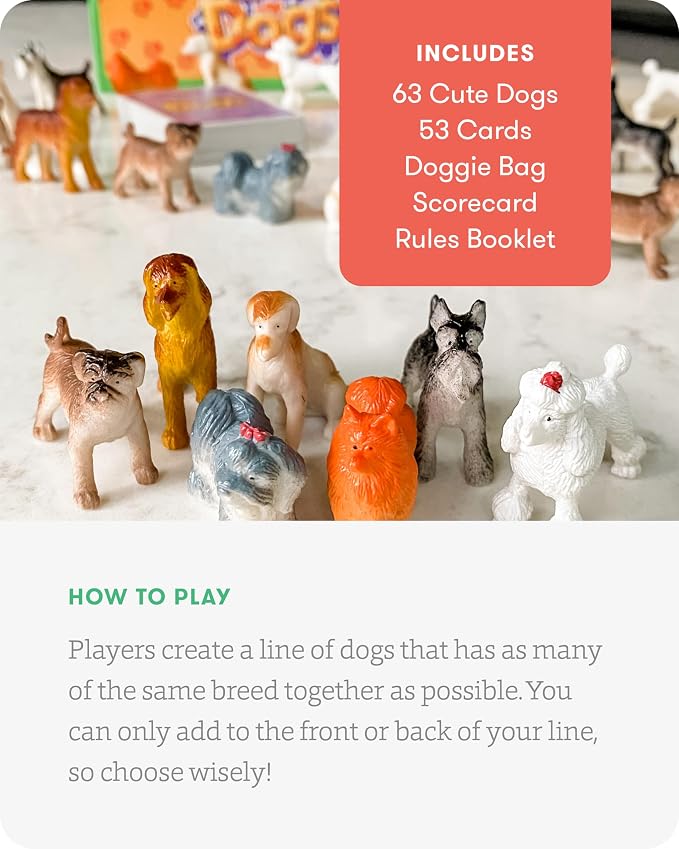 SimplyFun Walk The Dogs Math Game - Image 4