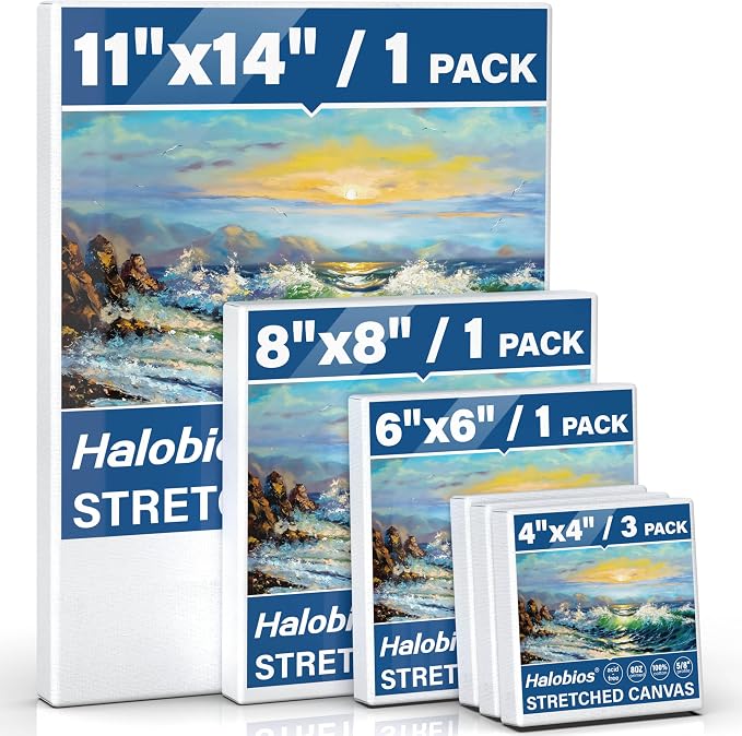 6 Packs Stretched Canvases for Painting by Halobios