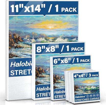 6 Packs Stretched Canvases for Painting by Halobios