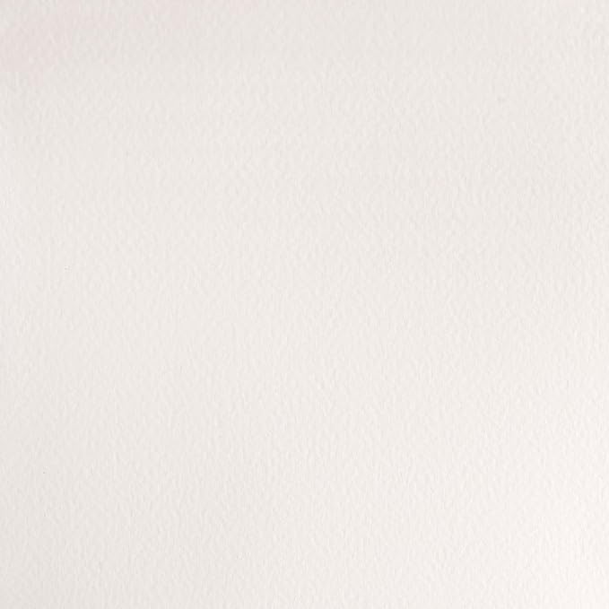 Winsor & Newton Professional Water Colour Paint, 0.47-oz Tube, Chinese White - Image 2