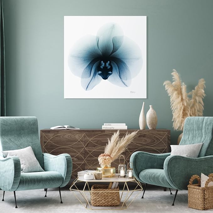 Empire Art Direct Frameless Free Floating Tempered Glass Panel Graphic Wall Art by EmpireArtDirect