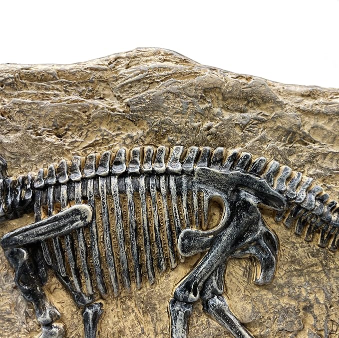 XINDAM Resin Triceratops Dinosaur Fossil Statue Model Simulated Skeleton Home - Image 6