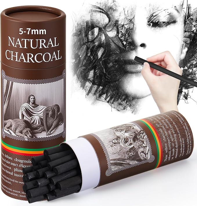 Gueevin 50 Pcs Willow Charcoal Sticks, Willow Charcoal, and Fine Art Christmas by Gueevin