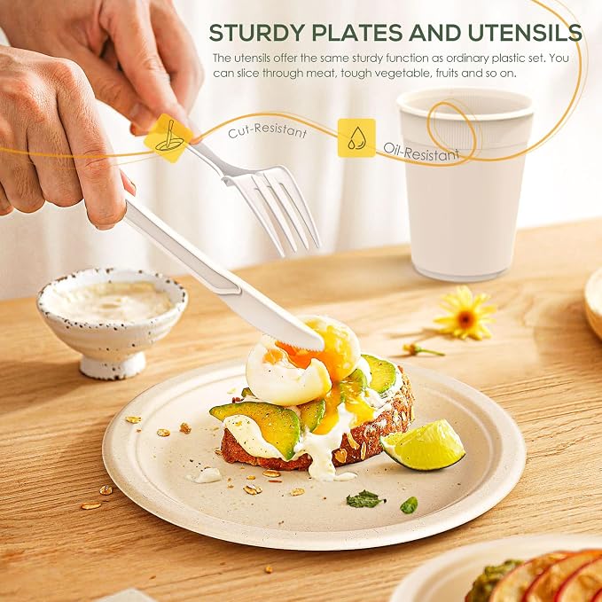 Gezond Compostable Paper Plates - Image 4