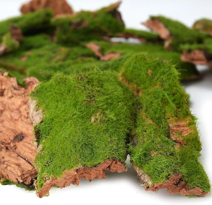 BYHER Assorted Artificial Moss Bark, Decorative Mossy Tree Bark - Image 2