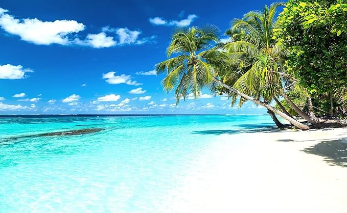 Palm Tree Wall Mural Tropic Paradise Beach Seascape Murals Wallpaper - Image 2