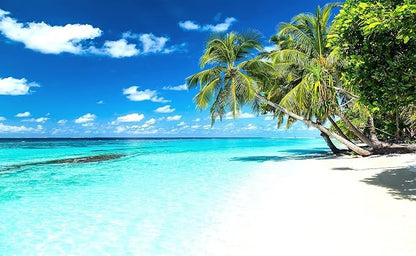 Palm Tree Wall Mural Tropic Paradise Beach Seascape Murals Wallpaper - Image 2