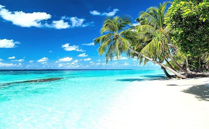 Palm Tree Wall Mural Tropic Paradise Beach Seascape Murals Wallpaper - Image 2