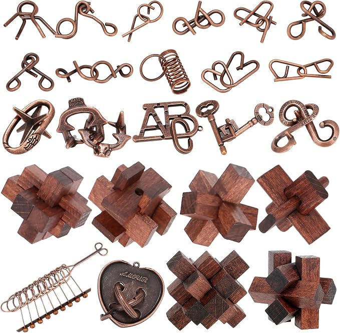24 Pcs Brain Teaser Puzzles for Adults Teens by Unknown