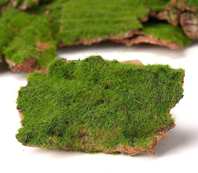 BYHER Assorted Artificial Moss Bark, Decorative Mossy Tree Bark - Image 5
