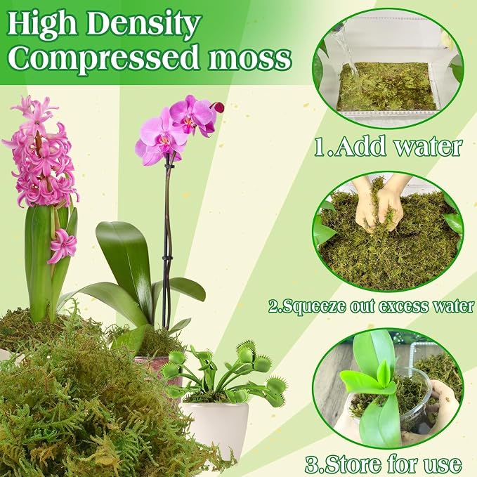 Halatool 6OZ Green Moss for Indoor Plants, 8QT Orchid Moss for Repotting - Image 4