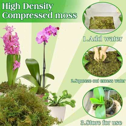 Halatool 6OZ Green Moss for Indoor Plants, 8QT Orchid Moss for Repotting - Image 4