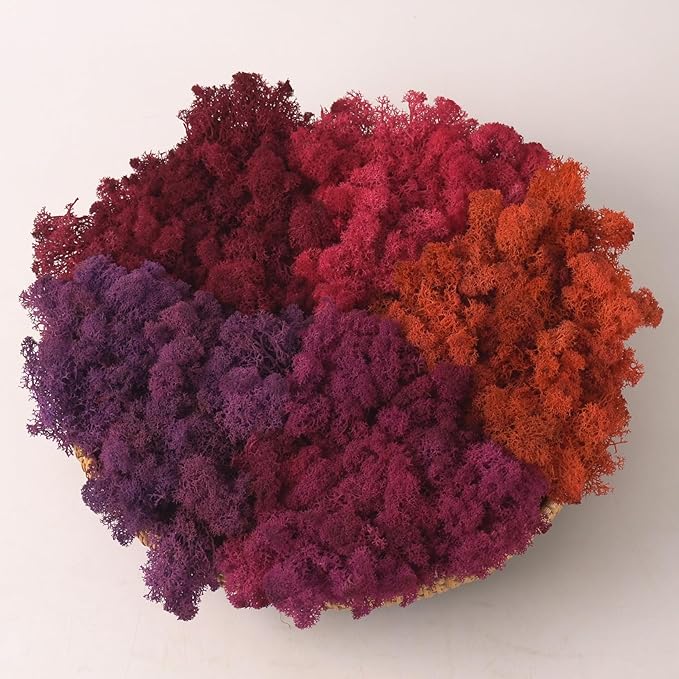 Preserved Reindeer Moss Natural Green DIY Kit Gardenning Art Wall Decor Florist by %E7%8E%B0%E5%9C%A8%E8%B4%AD%E4%B9%B0