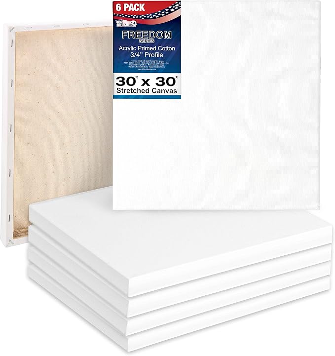 U.S. Art Supply 30 x 30 inch Stretched Canvas 12-Ounce Triple Primed, 100% by USArtSupply