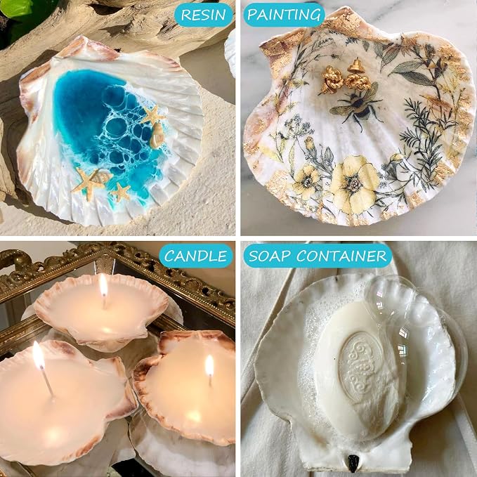 6PCS Scallop Shells for Crafts 4''-5'' Natural White Large Shells Decoration - Image 6