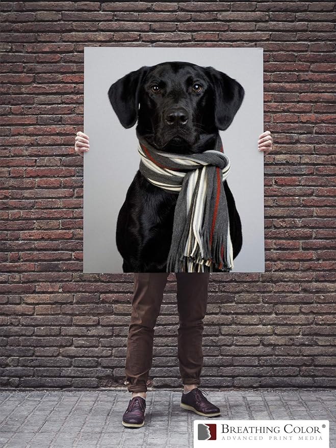 Premium Lyve Matte Canvas Sheets Professionals choice - Image 7
