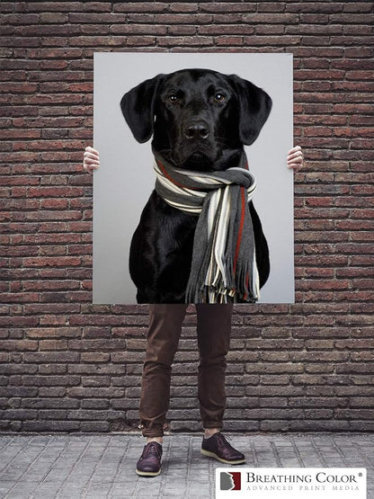 Premium Lyve Matte Canvas Paper Perfect - Image 7