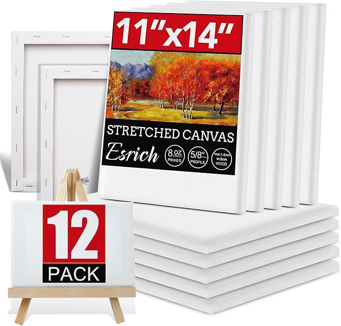 12 Pack Canvases for Painting by ESRICH