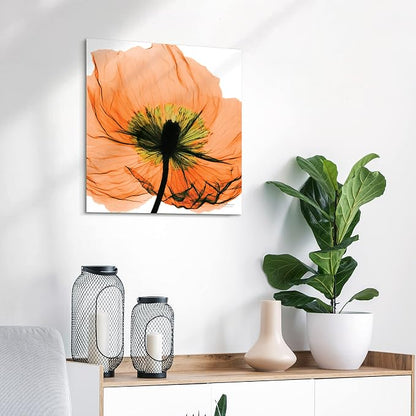 Empire Art Direct Frameless Free Floating Tempered Glass Panel Graphic Wall Art - Image 4