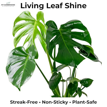 Leaf Shine Spray for Indoor Plants – Plant Leaf Cleaner & Shine for Real House - Image 2