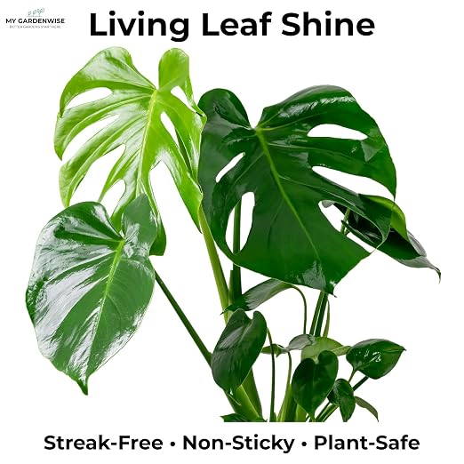 Leaf Shine Spray for Indoor Plants – Plant Leaf Cleaner & Shine for Real House - Image 2