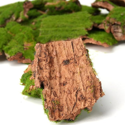 BYHER Assorted Artificial Moss Bark, Decorative Mossy Tree Bark - Image 4