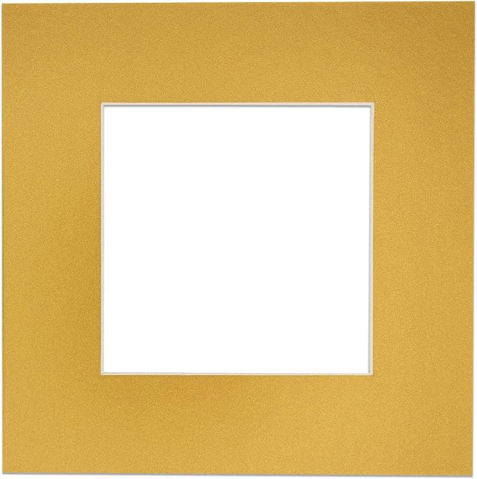 8x10 Mat Bevel Cut for 5.5x8.5 Photos by Poster+Palooza