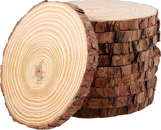 JEUIHAU 10 PCS 6.7-7 Inches Natural Unfinished Wood Slices, Round Wooden Tree by JEUIHAU