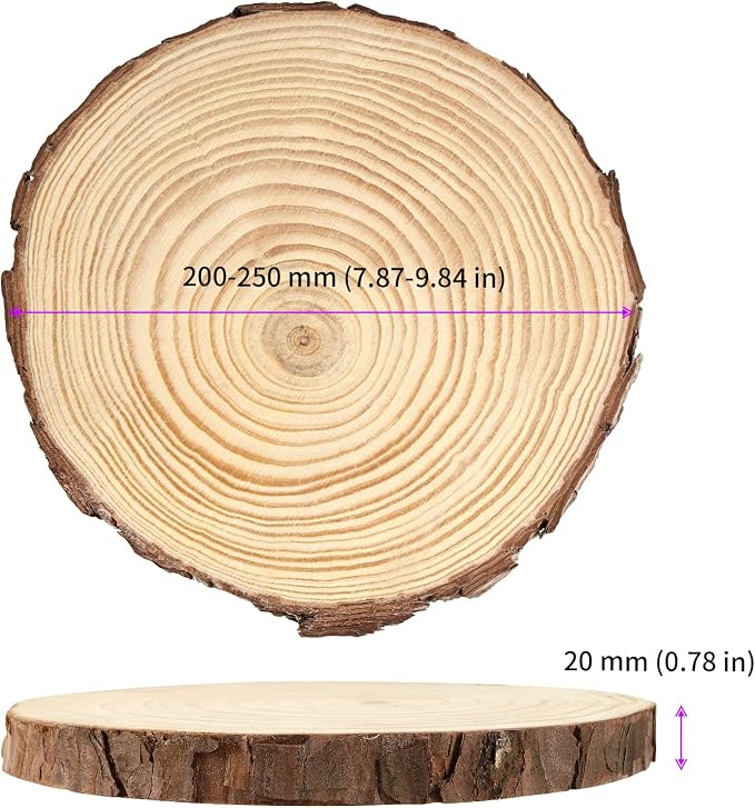 JEUIHAU 6 PCS 8-10 Inches Natural Unfinished Wood Slices, Round Wooden Tree - Image 2