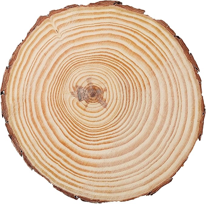 JEUIHAU 10 PCS 6.7-7 Inches Natural Unfinished Wood Slices, Round Wooden Tree - Image 4