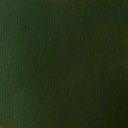 Liquitex BASICS Acrylic Paint, 946ml Jar, Hooker’s Green Hue Permanent - Image 2