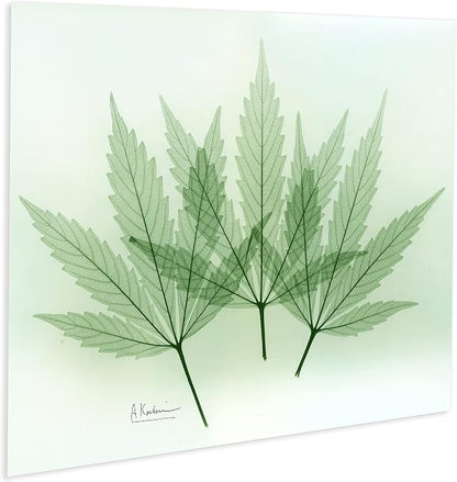 Empire Art Direct Frameless Free Floating Tempered Glass Panel Graphic Wall Art - Image 4