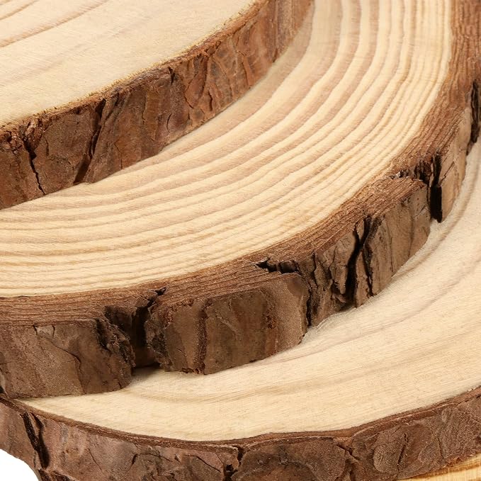 JEUIHAU 6 PCS 8-10 Inches Natural Unfinished Wood Slices, Round Wooden Tree - Image 3
