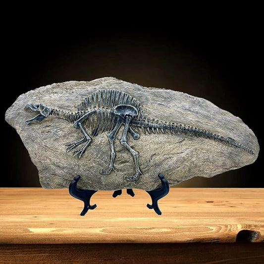 XINDAM Resin Spinosaurus Dinosaur Fossil Statue Model Simulated Skeleton Home by XINDAM