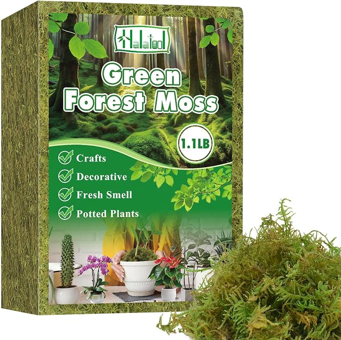 Halatool 1.1LB Green Moss for Potted Plants, 25QT Orchid Moss Potting Mix by HALATOOL