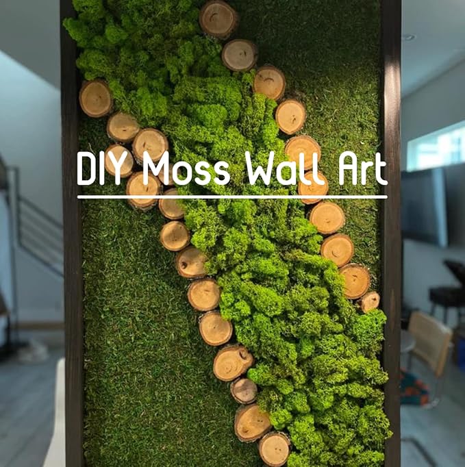 Preserved Reindeer Moss Natural Green DIY Kit Gardenning Art Wall Decor Florist - Image 5