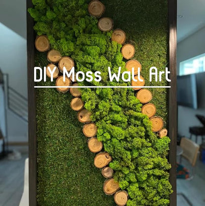 Preserved Reindeer Moss Natural Green DIY Kit Gardenning Art Wall Decor Florist - Image 5
