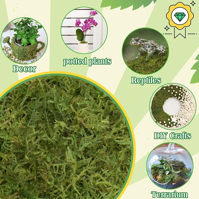 Halatool 6OZ Green Moss for Indoor Plants, 8QT Orchid Moss for Repotting - Image 6